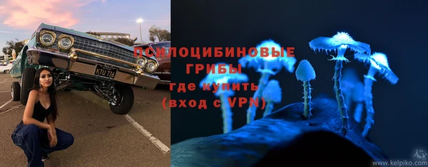 экстази Алексин
