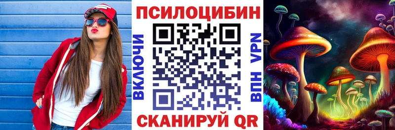 как найти наркотики  Кимры  Псилоцибиновые грибы мицелий 