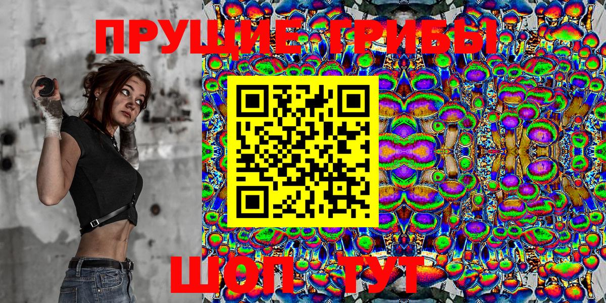 Кимры  Галлюциногенные грибы GOLDEN TEACHER  Вход с VPN 